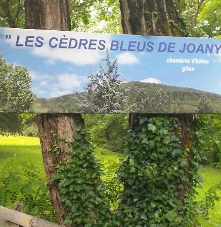 Cedres Bleus De Joany Chez Nathalie Viviez 외부 사진
