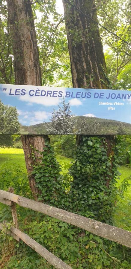 Cedres Bleus De Joany Chez Nathalie Viviez 외부 사진